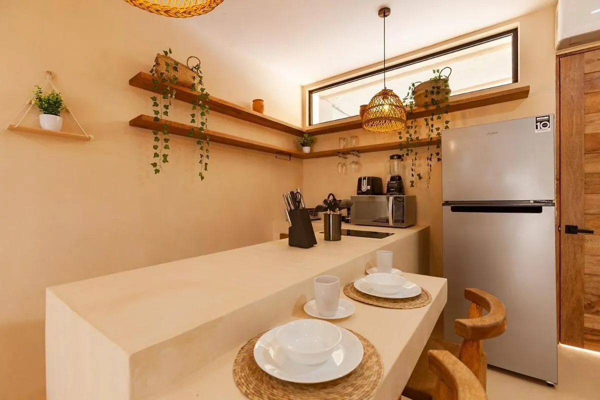 툴룸 Cocay Lofts203 Unique Jungle Swim Up And Plunge Pool 아파트 0*,  멕시코